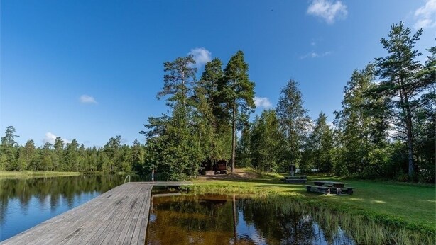 A wooden dock extending into a calm lake, surrounded by lush greenery and tall trees. - Holiday home in the woods included Rowing boat - lake with jetty    (Vimmerby)