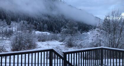 A pearl with charm Field by the lake, detached with plotPets allowed