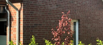 Apartment / fitter Heidelerche at the Thülsfeld dam max 4 pe