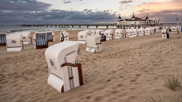 Una playa con filas de sillas de playa numeradas y un muelle al fondo.