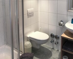 Douche, sèche-cheveux, peignoirs, serviettes fournies