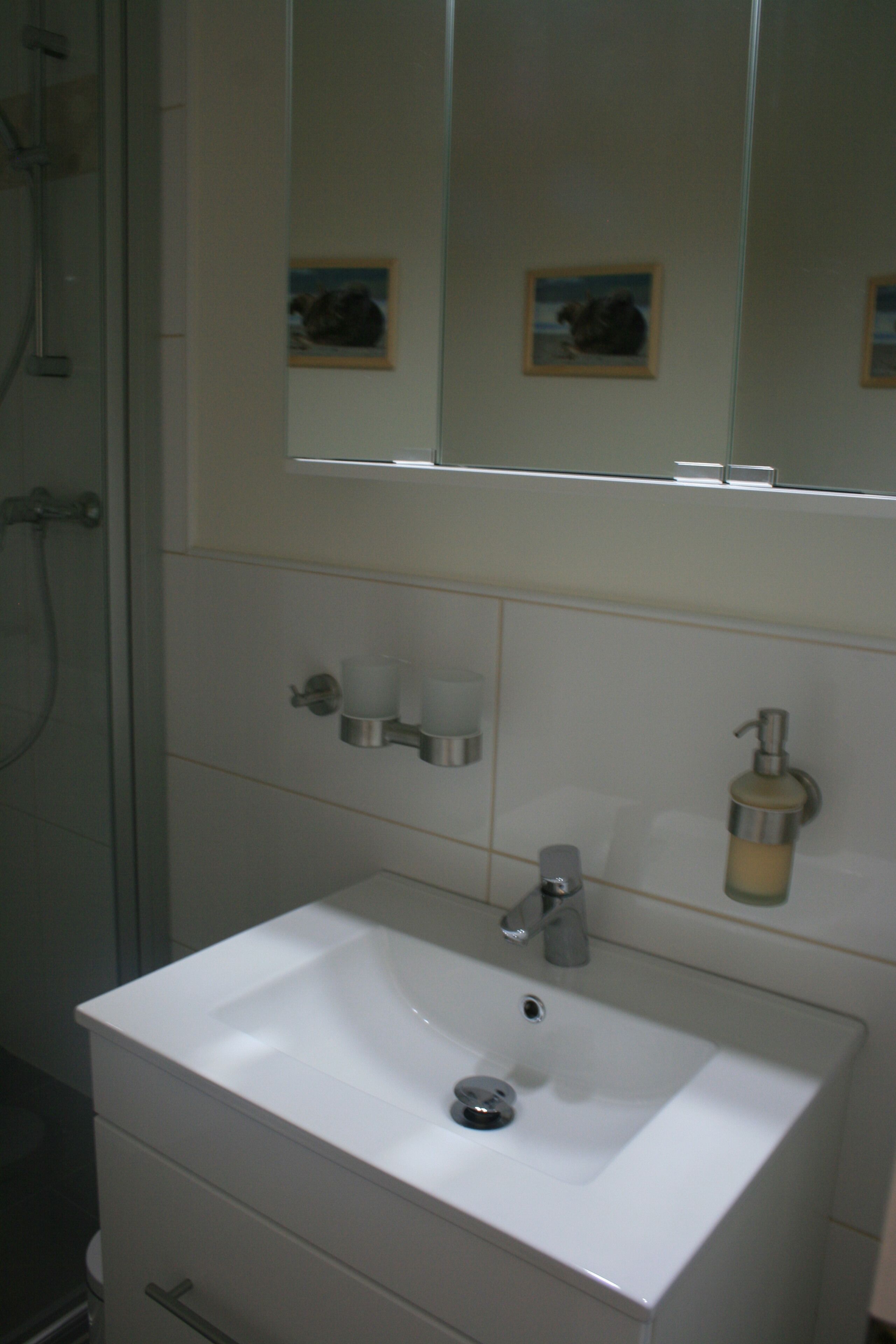 Une salle de bain avec un lavabo blanc, un miroir et une douche.
