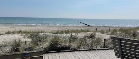 Nära stranden