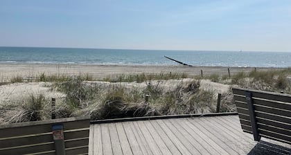 Sauna, hidromasaje, chimenea, WiFi y sala de bicicletas.