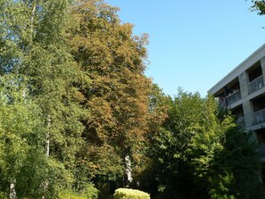 Property grounds - Very quiet one room apartment, between Paris and Versailles (Ville-D'avray)