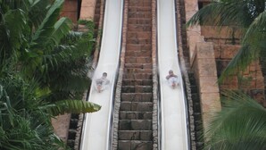 A water slide with two parallel slides, stone steps, and a pool at the bottom. - As seen on HGTV's Bahamas Life - Perfect Villa for an Island Getaway! (Paradise Island, Nassau)