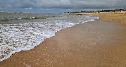 Villa classĂ©e 4 Ă©toiles dans un parc de 6 hectares - 8 couchages - Ăle dâOlĂ©ron