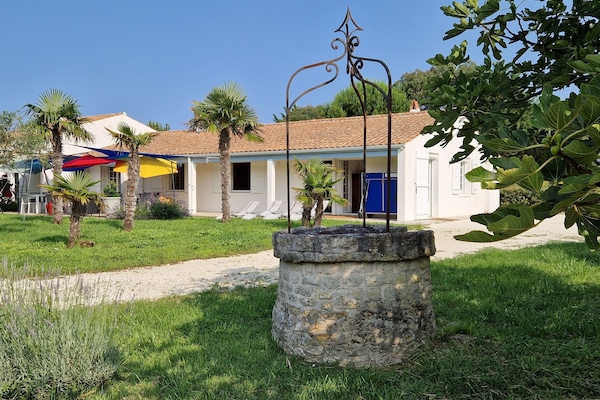 Le puits de La Cabane près d'un des trois figuiers (figues mûres fin septembre)
