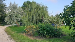 Áreas de la propiedad