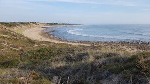 Plage à proximité, chaises longues, serviettes de plage