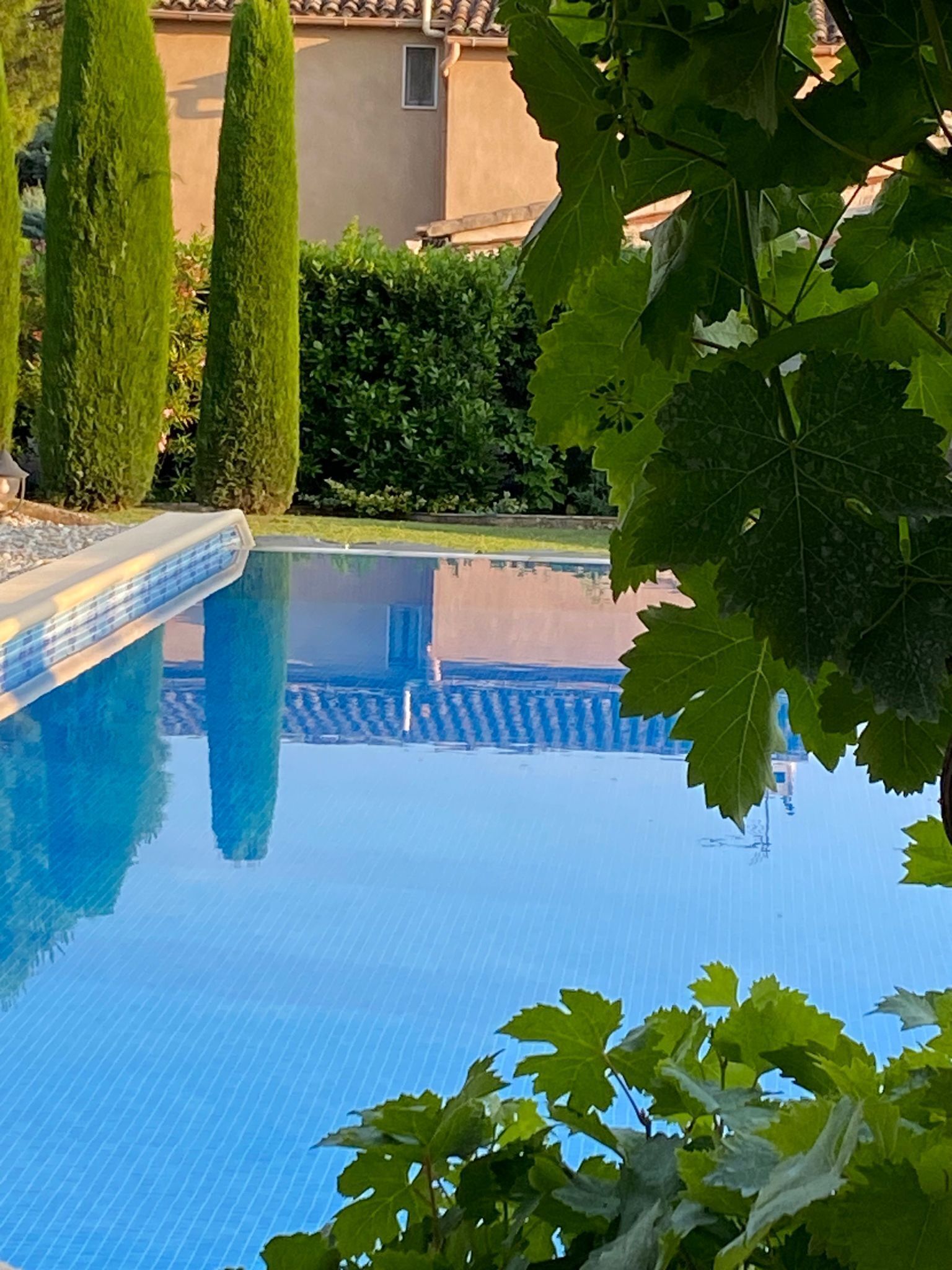 A clear blue swimming pool surrounded by greenery and a building with a tiled roof.