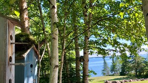 A wooden birdhouse attached to a tree, surrounded by birch trees and a view of a lake.