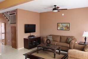 Smart TV, video game console, DVD player, video library