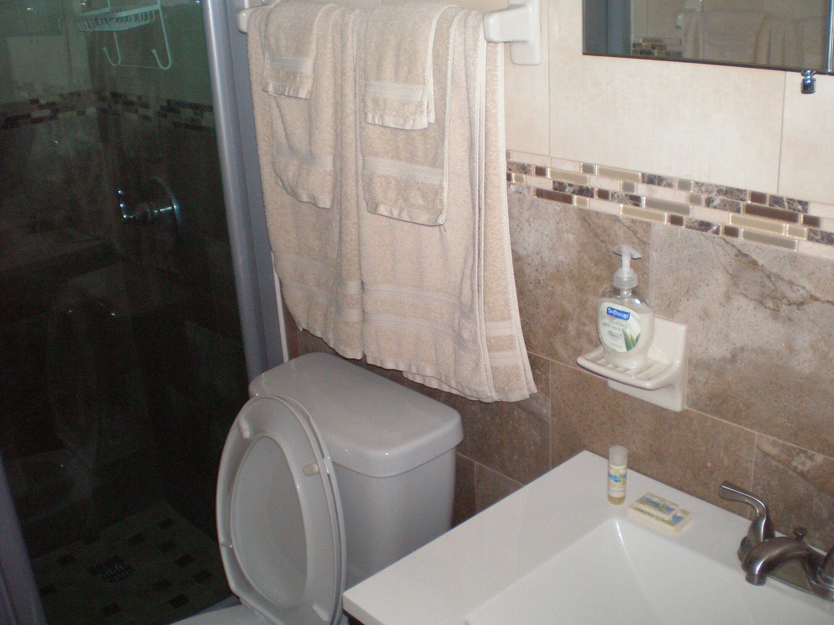A bathroom with a toilet, sink, and a glass shower enclosure.