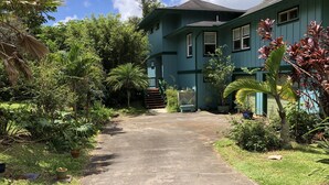A house with a concrete driveway leading to a front door, surrounded by lush greenery and a palm tree.