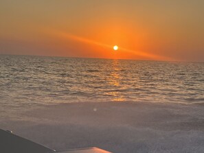 Plage, chaises longues, serviettes de plage