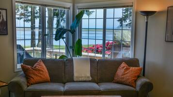 TV connectée, cheminée, lecteur de DVD, chaßne hi-fi