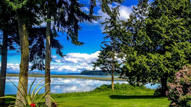 Um jardim tranquilo à beira do lago, com vista para a água, uma cadeira de madeira e um vaso com planta.