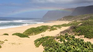 Una playa con vegetación verde y un acantilado al fondo.