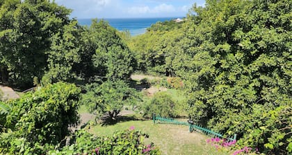 ' BEACHFRONT COTTAGE'