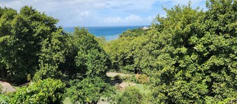 ' BEACHFRONT COTTAGE'