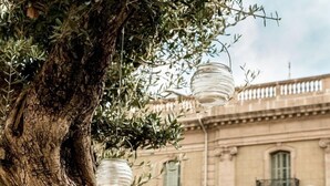 A tree with hanging glass lanterns and a building with balconies in the background. - Oasis Hotel (Barcelona)