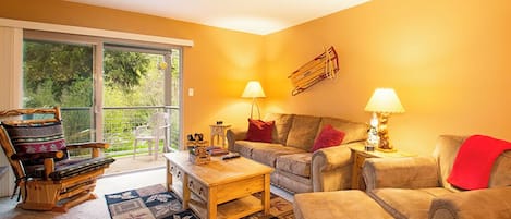 Télévision à écran plat, cheminée, lecteur de DVD