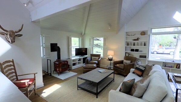 Televisión, chimenea, reproductor de DVD y libros 