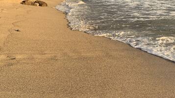 Chaises longues, serviettes de plage