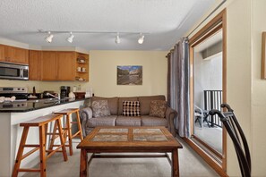 TV, fireplace - Comfortable studio ski-in/ski-out access, mountain views (Winter Park)