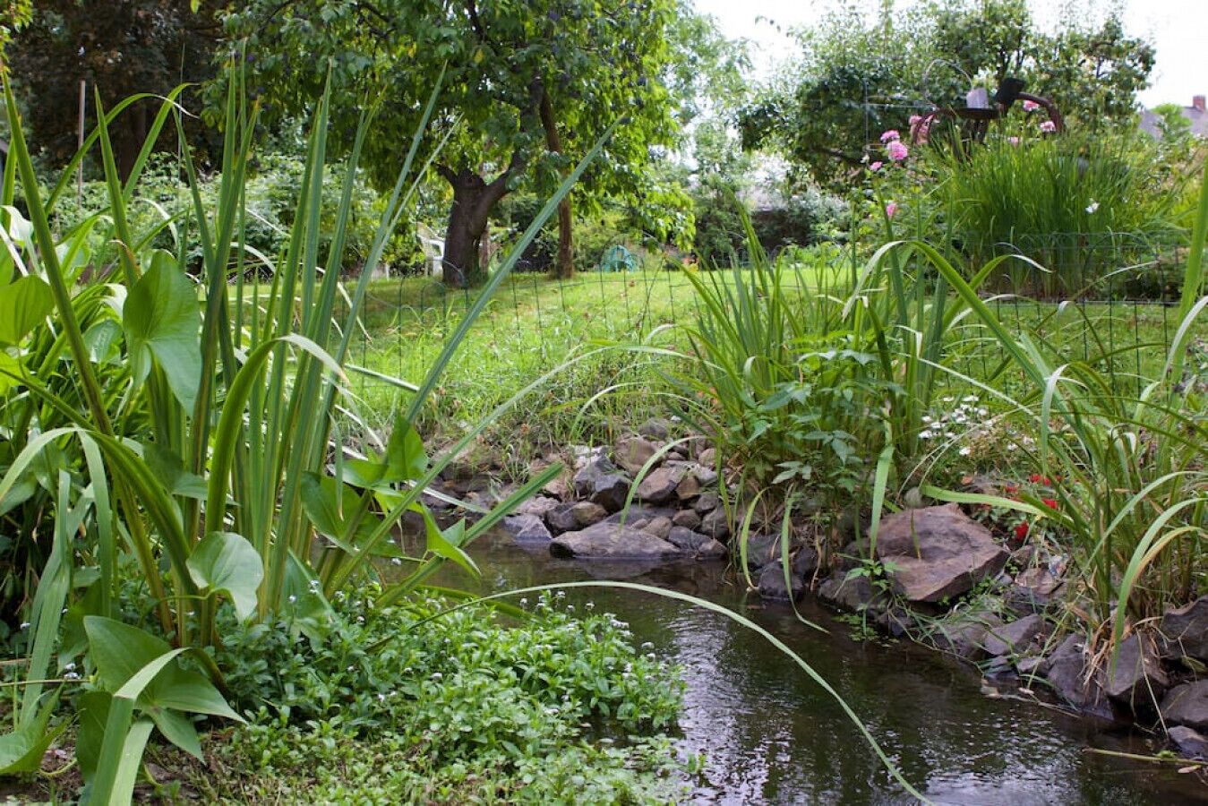 Enceinte de l’hébergement