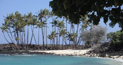 Ocean View Studio lähellä Magic Sands-Free Wifi