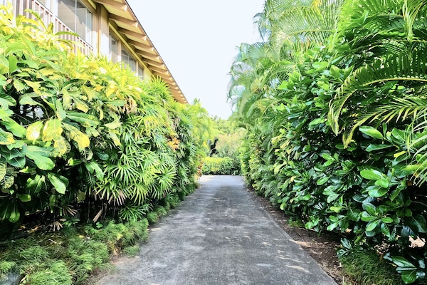 Jardines del alojamiento