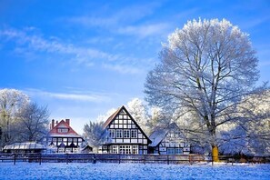 A traditional half-timbered house with a gabled roof, surrounded by snow-covered trees and a clear blue sky.