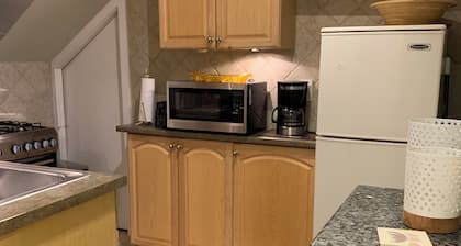 Comfort/Clean!: Free Parking 15 min ORD/Downtown3