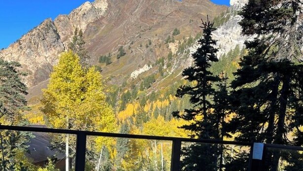 A hot tub with a mountain view, surrounded by trees and a wooden deck. - Luxury On Mountain Ski Accommodation located between Alta and Snowbird (Alta)