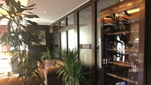 Una sala de estar moderna con un sofá, una mesa de centro y plantas grandes en macetas.