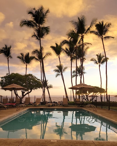 DAZZLING OCEAN VIEW, Oceanfront Complex close to town, dining & shopping