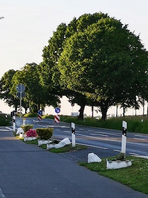 Oklassificerad bild, 3 av 26, knapp