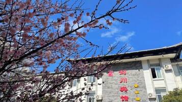 A building with signage in a foreign language, a clear sky, and cherry blossoms in the foreground.