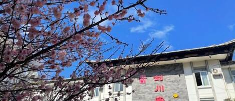 외부 세부 사진