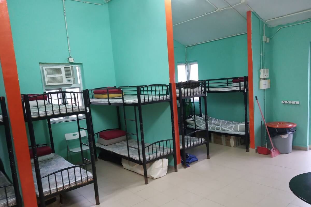 Gemeinsamer Schlafsaal, Nur Männer (1 Bed in 8 Beds)