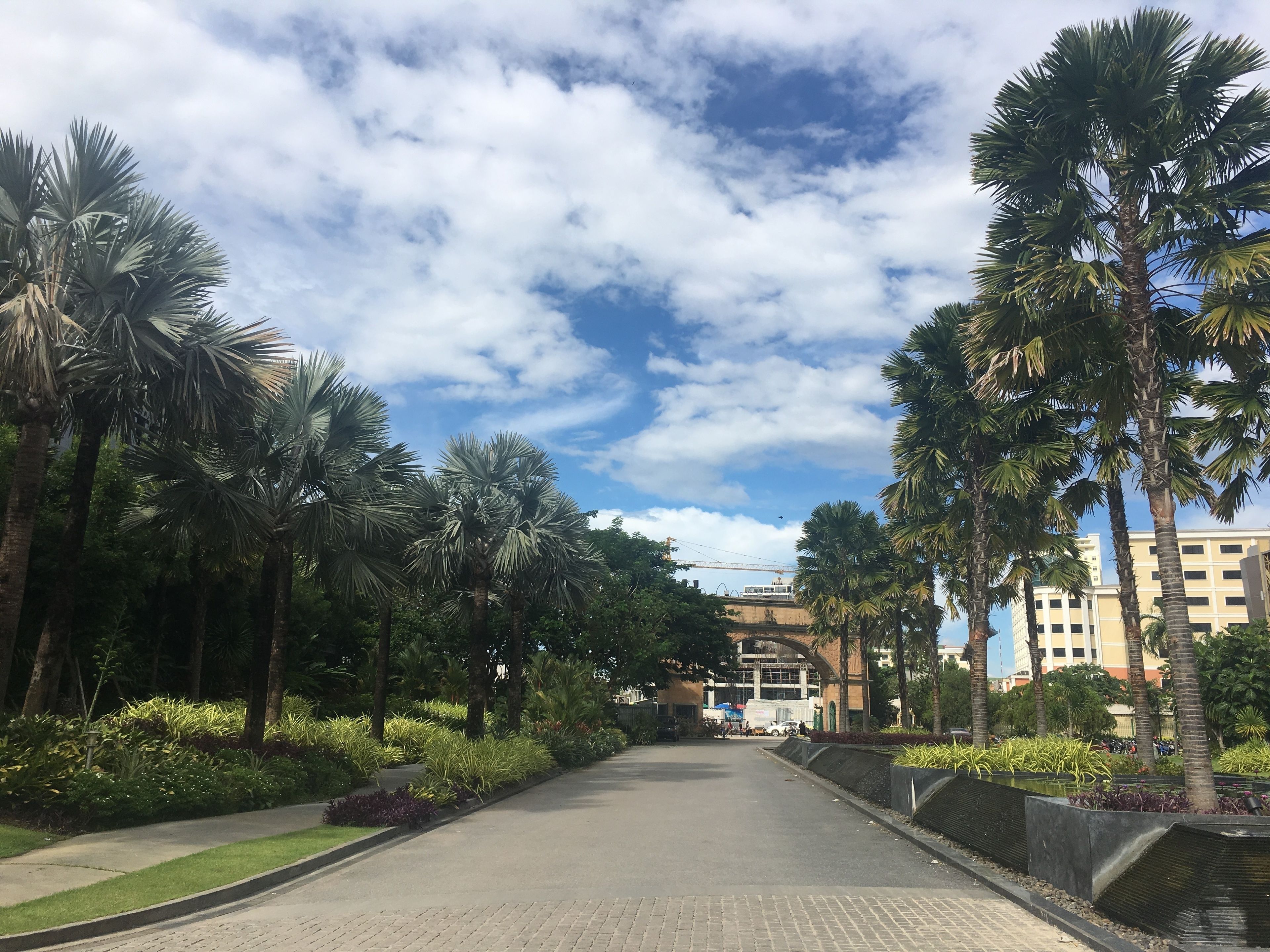 A pathway lined with palm trees and greenery, leading to a building with a modern design.