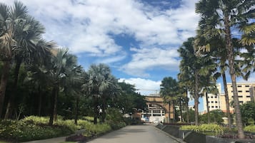 A pathway lined with palm trees and greenery, leading to a building with a modern design.