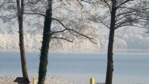 A lakeside park with benches, a bird feeder, and a metal railing along the path.
