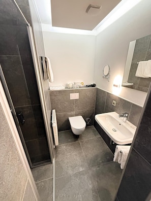 A modern bathroom with a shower, toilet, and sink.
