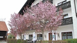 Ein Gebäude mit einem Balkon, Sitzgelegenheiten im Freien und einem Baum mit rosa Blüten.