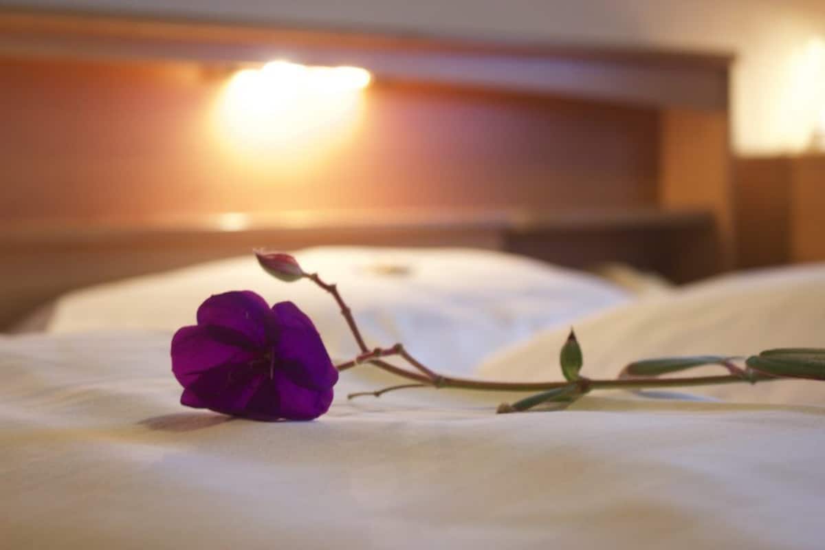 double room, 1 double bed | desk, free wifi