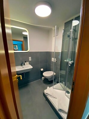 A modern bathroom with a glass shower enclosure, a white sink, and a toilet.
