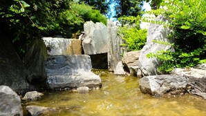 A natural water feature with rocks and greenery. - Il Carrettino Country Hotel (Tortona)